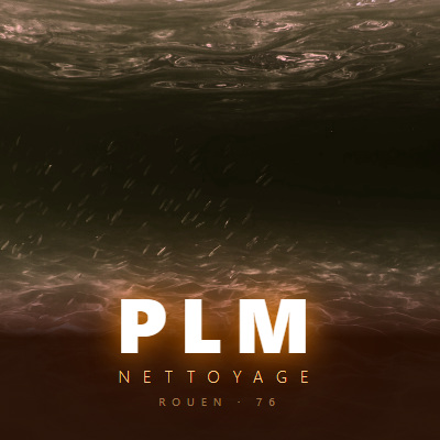 Logo PLM Nettoyage